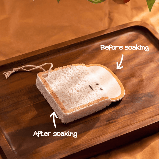 6PC / 12PC Compostable Toast-Shaped Compressed Cellulose Sponges - The Nifty Home