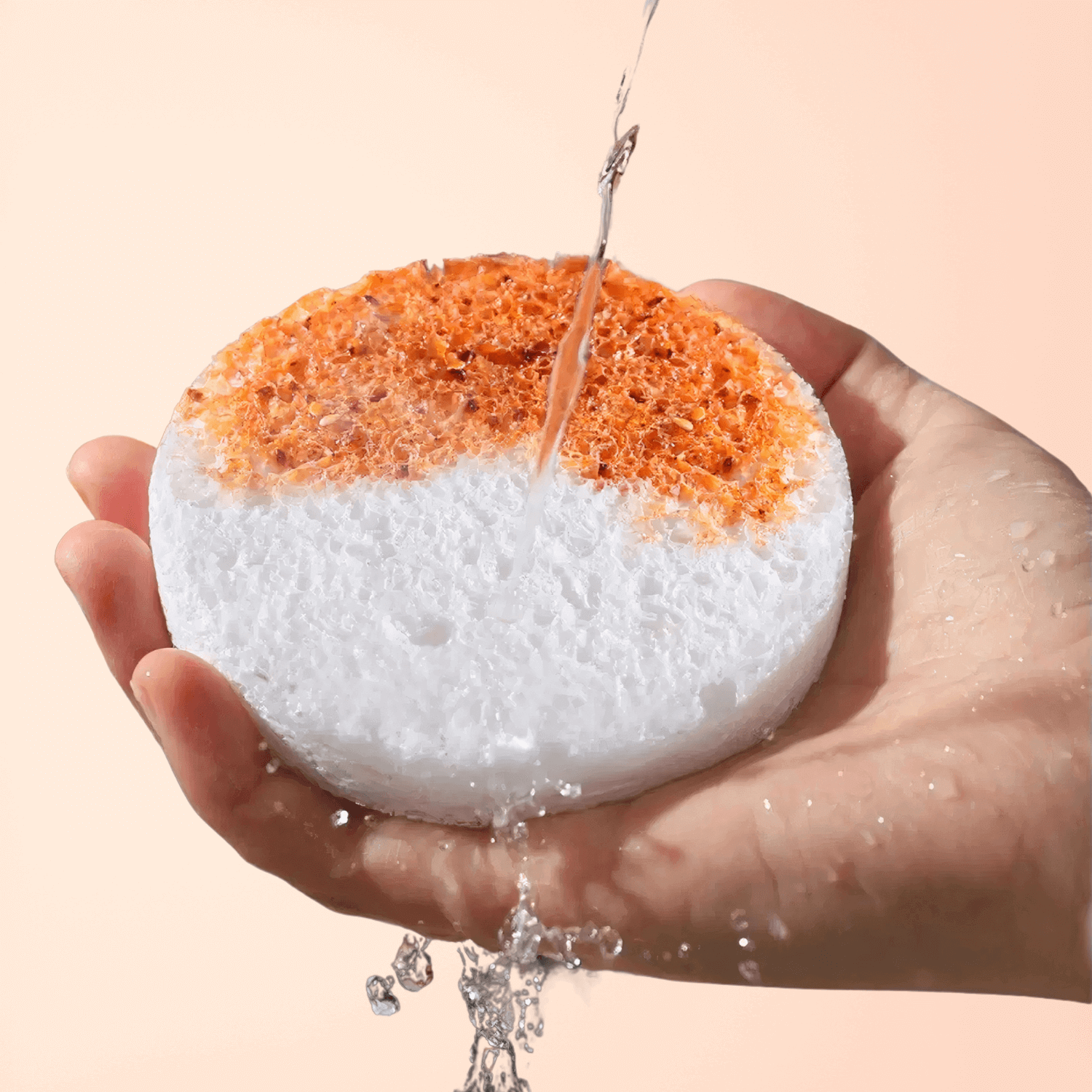 6PC/12PC - Compostable Flower Pattern Compressed Cellulose Sponge - The Nifty Home