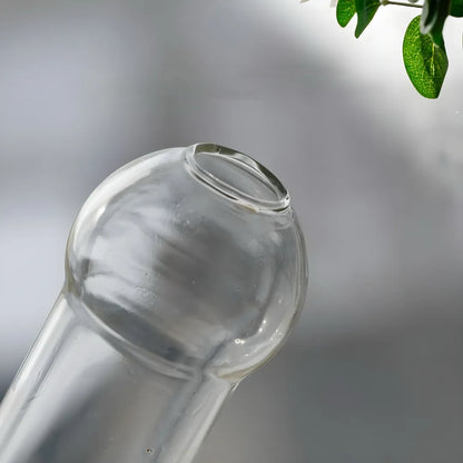 Premium glass funny decanter with curved top on gray background, featuring subtle light reflections and green leaves