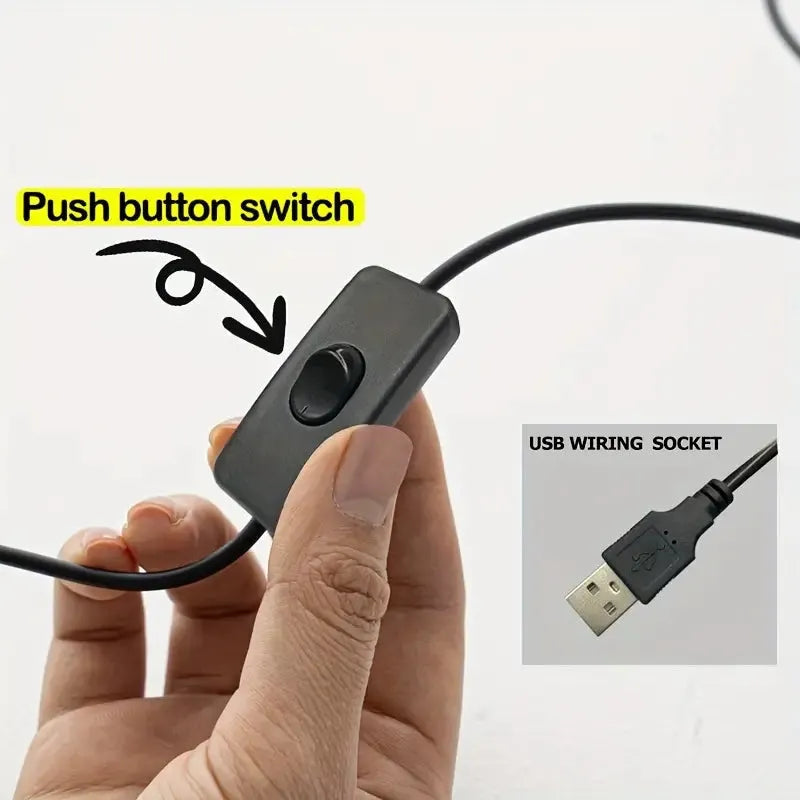 Close-up detail of the Raven Lamp's push button switch and USB wiring socket.